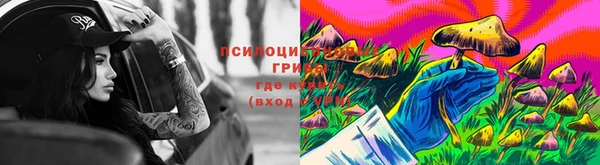 apvp Кулебаки