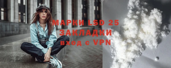 бошки Ладушкин