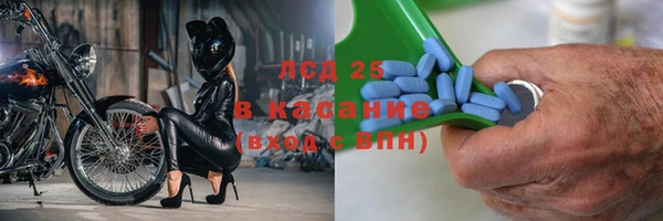 спиды Кукмор