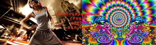 бошки Ладушкин