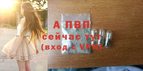 крисы Лагань