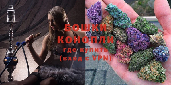 бошки Ладушкин